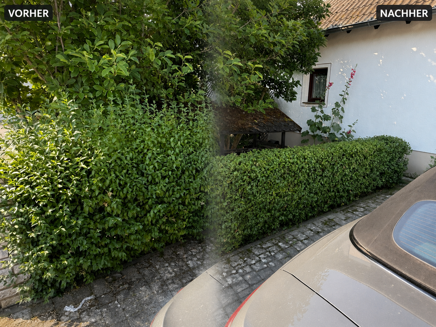 Vorher und Nachher: Hecke am Haus